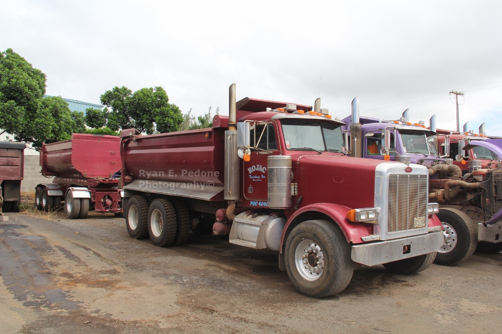 Rojac Trucking (50) (1024x683)